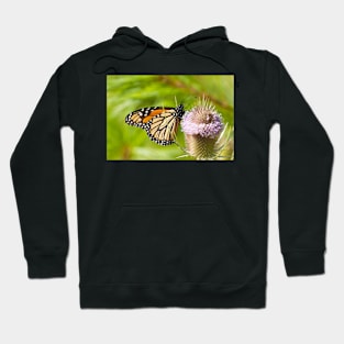 Sipping On A Thistle Hoodie